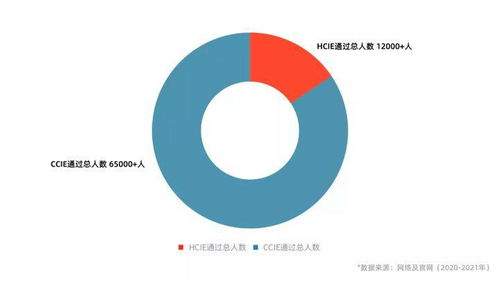 网络工程师的